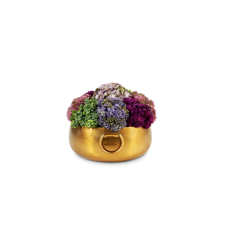 Alba Sedum Floral Arrangement in Gold Pot