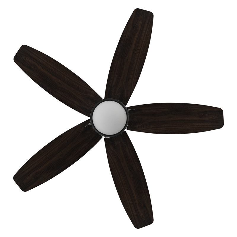 Durell 52'' Ceiling Fan with LED Lights, Dark Walnut