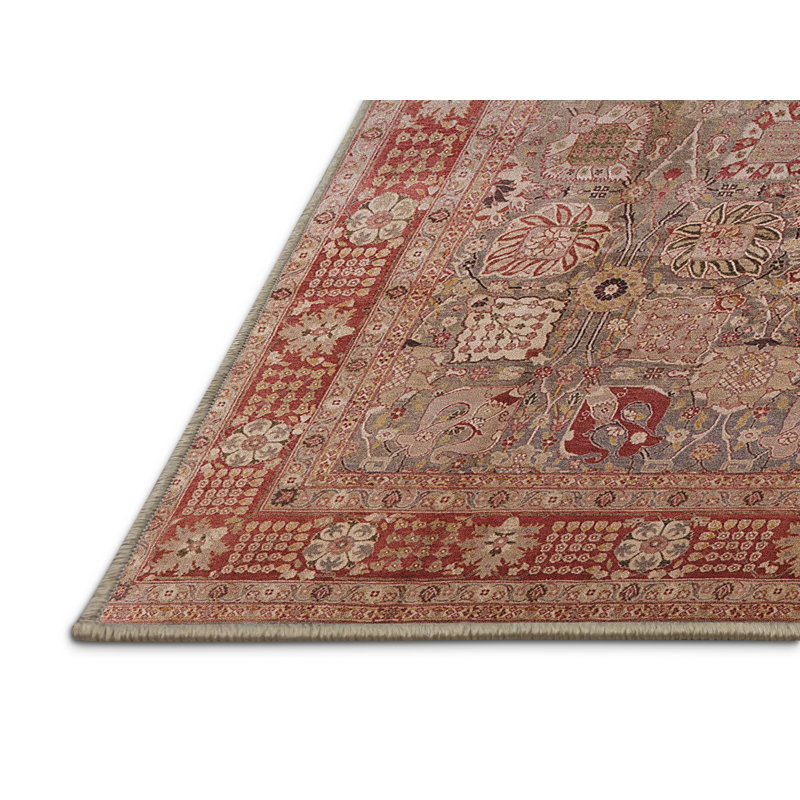 Cianne Oriental Indoor Rug, Rectangle 3' x 5'