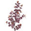Ensemble de 3 branches d'eucalyptus artificiel-1972534118