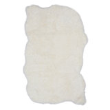 Jeffrey Sheepskin Area Rug in Ivory