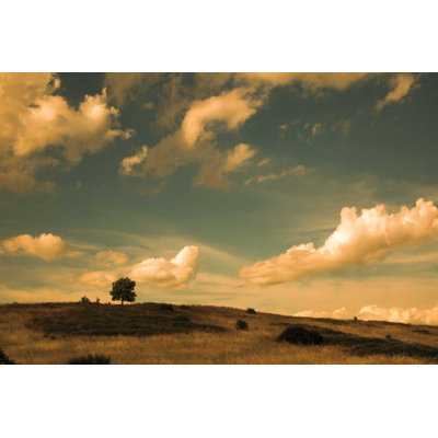 Quels beaux nuages