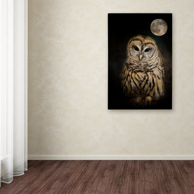 Vidur 'Barred Owl And the Moon' Graphic Art Print on Wrapped Canvas