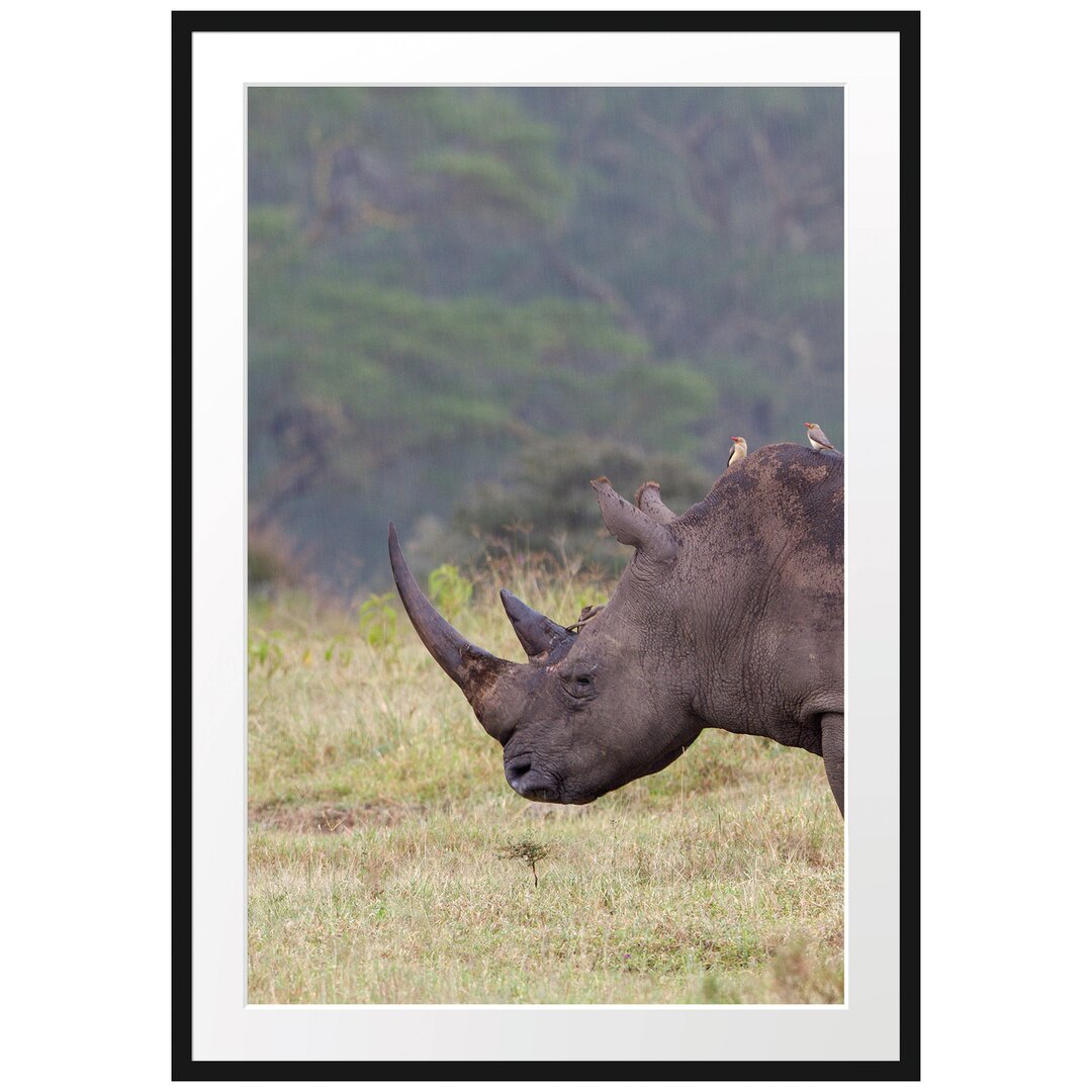 Großes Nashorn in der Savanne Gerahmter Fotokunstdruck