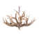 Wehrle 6-Light Bronze Polyresin Antler Horn Chandelier