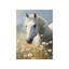 Art mural en toile blanche 16 "x 20"