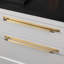 Pull Bar / Plate / Linear-1696325630-1706142833