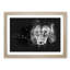 Portrait of a Lion - Picture Frame Graphic Art Print-56861257-56861262