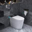 Toilette ronde pour bidet 1,28 GPF avec 23 po Profondeur pour petite salle de bain moderne de 12 po Chauffage et séchage par chasse d'eau brute-122501480