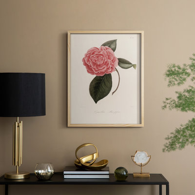 Vintage Floral Print CXLI Framed Print - Solid Wood