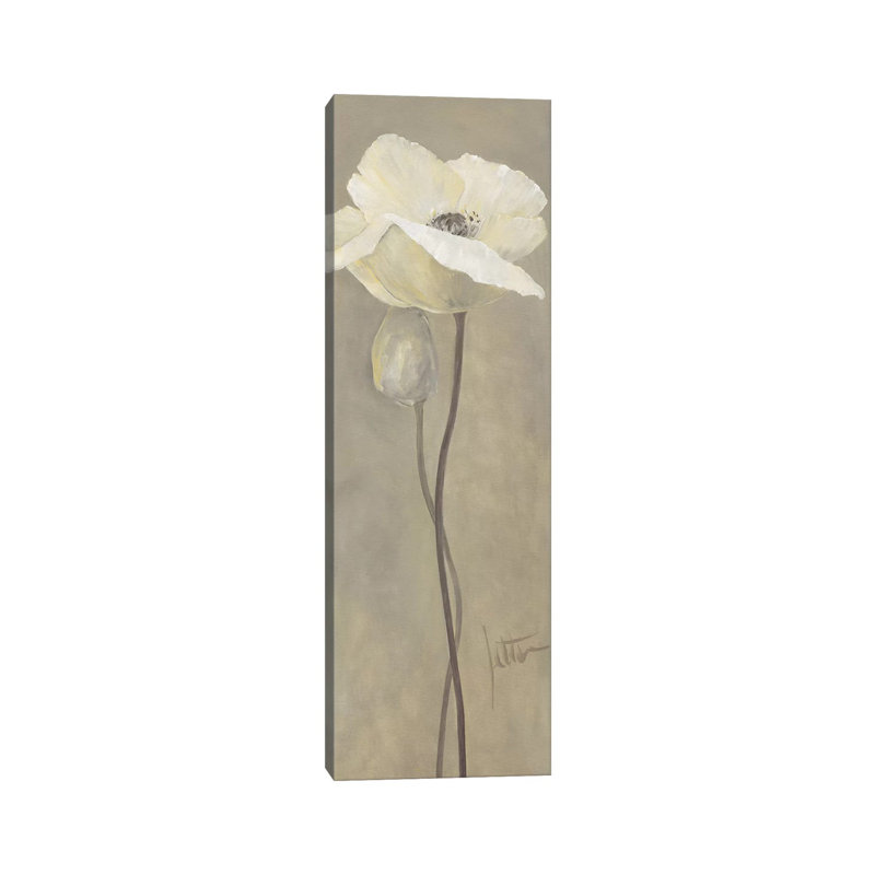 Poppy In White IV by Jettie Roseboom - Wrapped Canvas Panoramic Print, 30.48 cm H x 91.44 cm W x 1.91 cm D