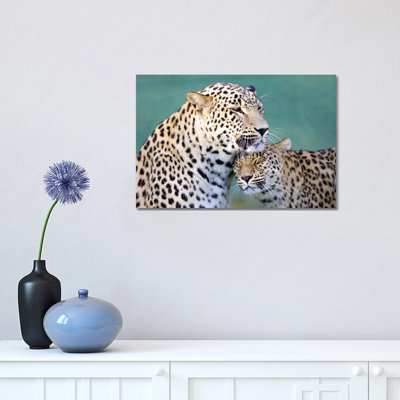 Leopards Love 1 Piece Wrapped Canvas Wall Art