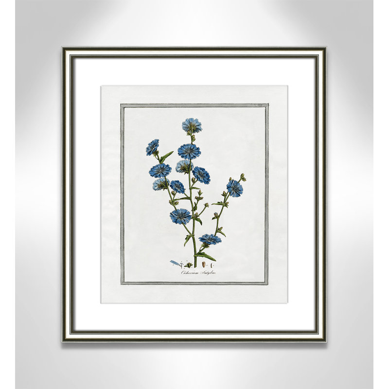 Colombe Soft Botanical I - Art encadré avec fond perdu, L 14,25 po x H 16,25 po, Cadre argenté