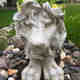 Photos des clients 1 de 1