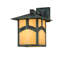 Rustic Lodge 1 - Light Outdoor Wall Lantern