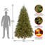 The Holiday Aisle® Jersey Fraser Fir Tree with Clear Lights-835324943