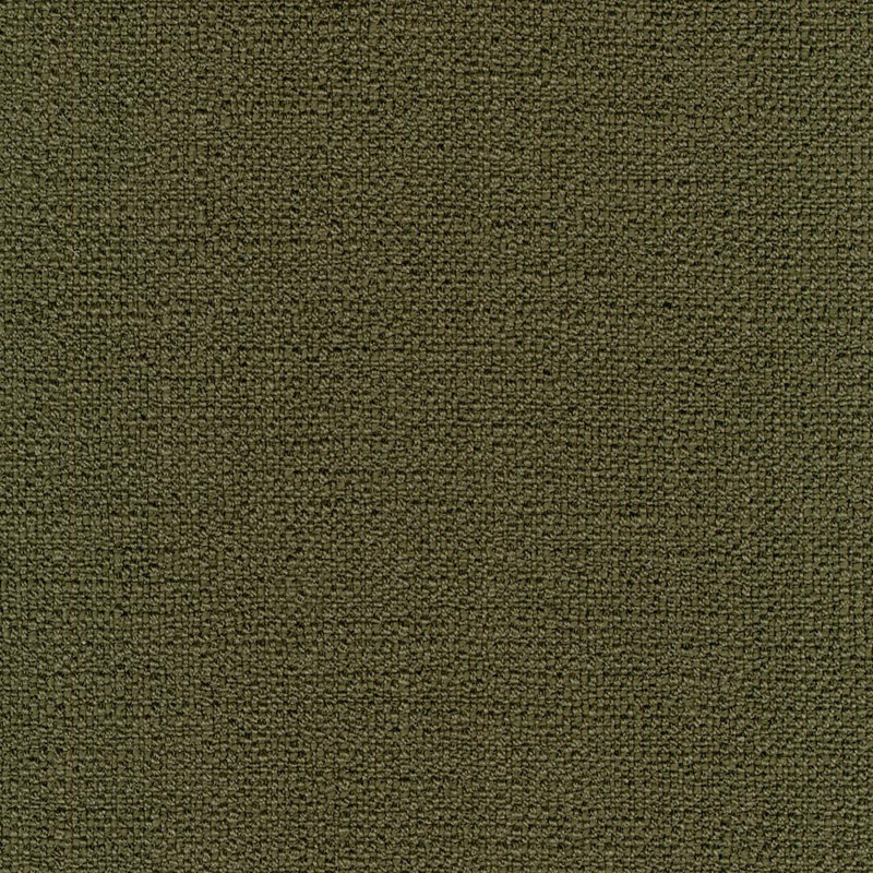 Coussin Birch Lane Coolidge, Vert, Polyester, Carré 20 po