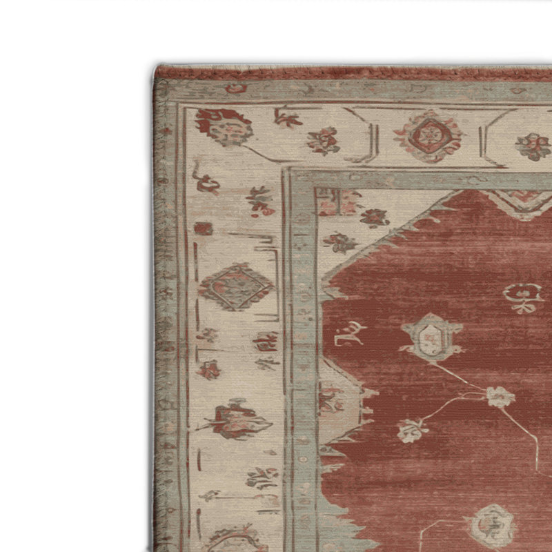 Tapis intérieur et extérieur brun Overdyed, Rectangle 4pi x 6 pi