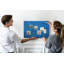 Wall Mounted cork board with print decorative wall message pin boards home office bulletin board ideas Bird feather