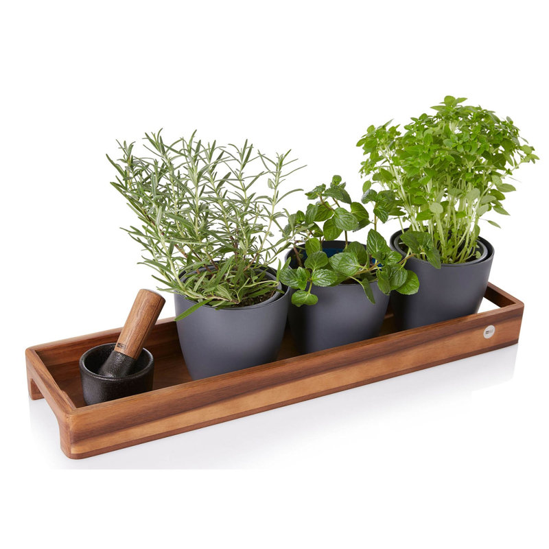 Wood Tray, 5.5cm H x 51cm L x 14.6cm W
