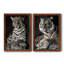 Léopard d'Afrique - ensemble de 2 reproductions-642916379-642916358-642916357