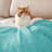 Bedsure GentleSoft™ Sherpa Blanket – Thick All-Season Warm Bed Blanket – Ideal Gift for College Students-105504627-105504623