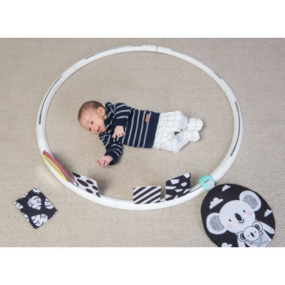 Baby Gym Mat