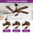 Eichen 52'' Ceiling Fan with LED Lights