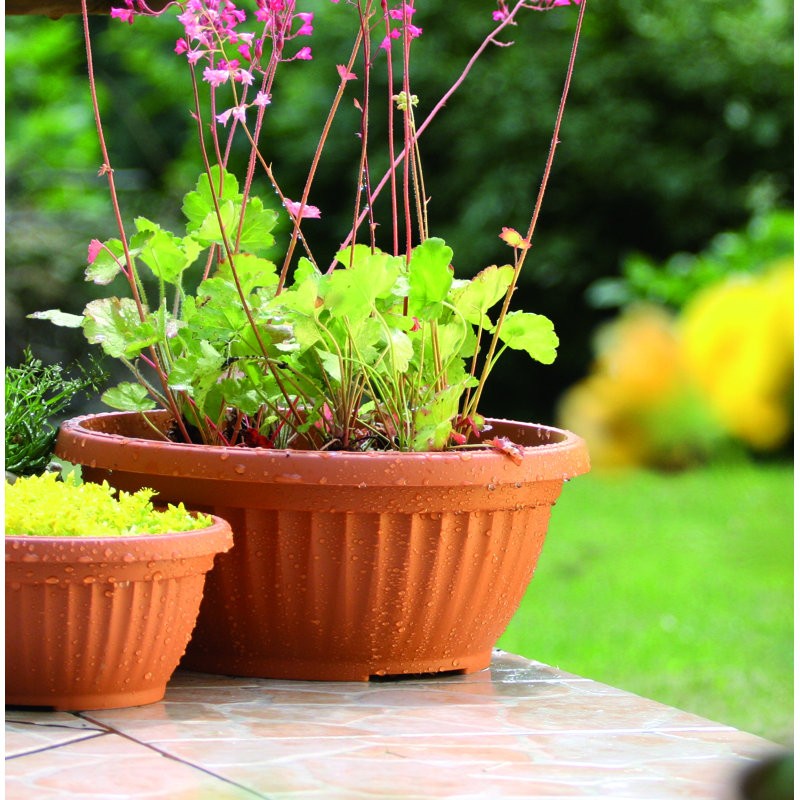 Johnstone Pot Planter