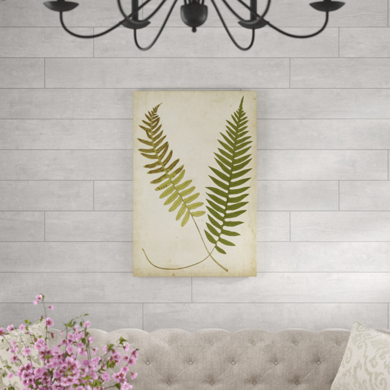 «Fern Portfolio III», peinture sur toile, H 36 po x l 24 po