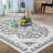 Washable Area Rug for Living Room, Bedroom, Dining, Vintage, Non-Slip, Stain-Resistant, Grey-1992101140