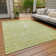Segin Area Rug with Non-Slip Backing