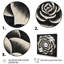 Minuscule plante grasse en noir et blanc-379073917-379073913