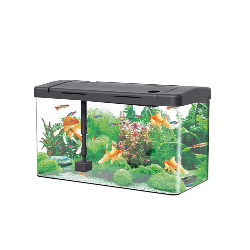 12L Fish Tank With Filter And Light, Rectangular Aquarium With Filter And Oxygen Supply, LED Light, Mini Fish Tank Tabletop Decoration For Home Office Living Room