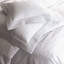 Angelina 100% Cotton Envelope Sham-33032067-58701985