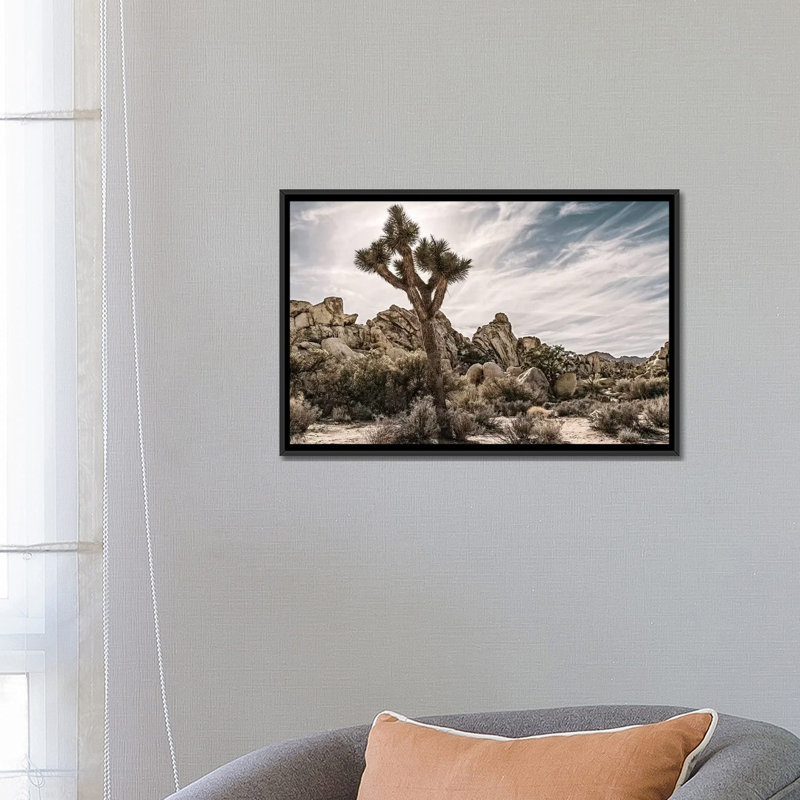 «Joshua Tree Views VIII», impression sur toile, H 18 po x l 26 po x P 1,5 po, Toile avec cadre noir, Pas de tapis
