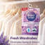 Hanging Moisture Absorber Dehumidifier Fresh Linen Lavender Wardrobe Damp Mould Condensation Remover Closet Storage (Pack Of 24)