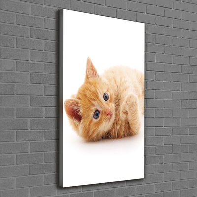 Little Red Cat - Wrapped Canvas Print
