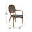 Damore All-Weather Commercial Paris Chairs with Arms and Metal Frames-36564814