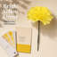 Pot de fleurs en soie-1087967427