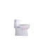 Toilette monobloc allongée 1,28 GPF Tornado