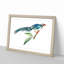 Chinese Cuckoo by George Shaw - Picture Frame Painting Print-55621286-55621284