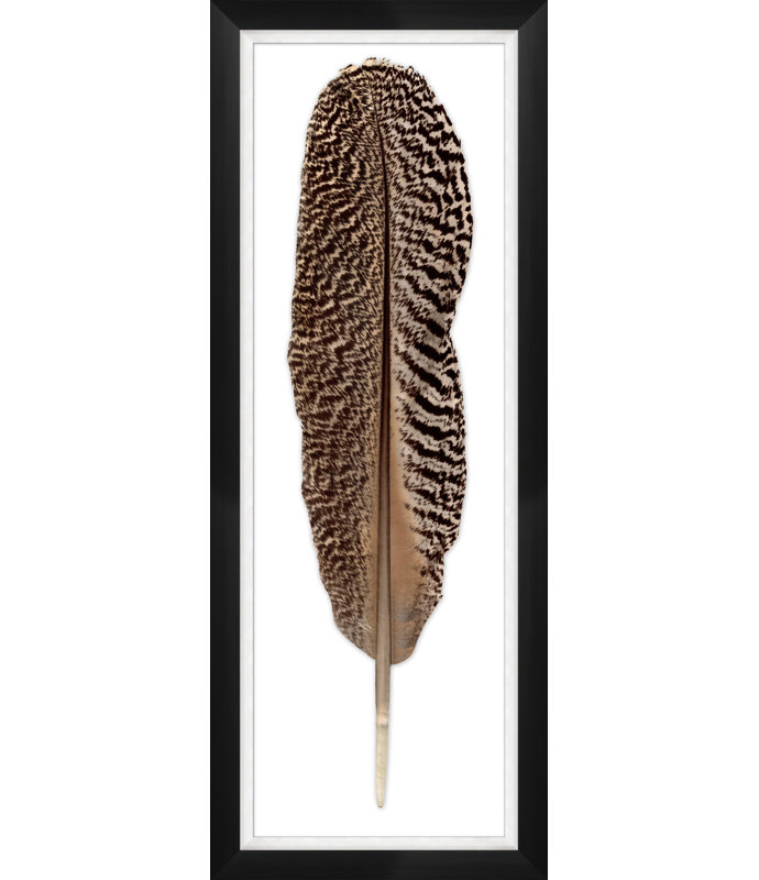 Mottled Peacock Feather 2 Print