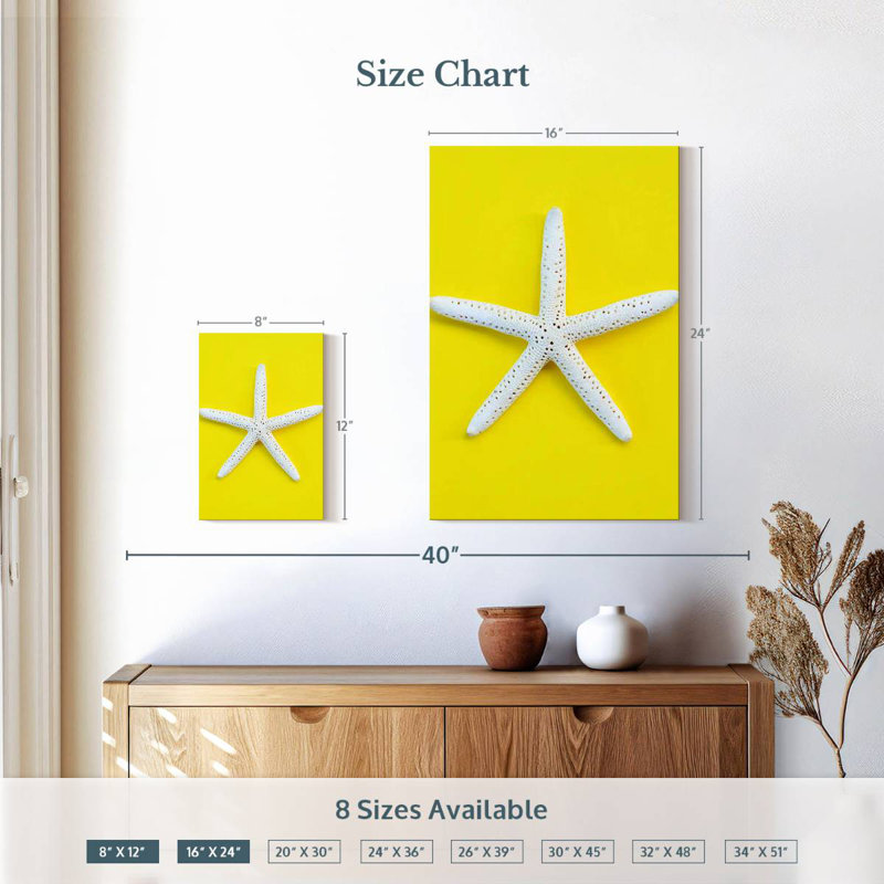 Brampt White Sea Star, 24" H x 16" W