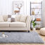 Braeley Solid Colour Shag Area Rug-1002261600