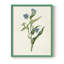 Fleurs des saisons, reproduction encadrée V - bois massif-904134565-904134568