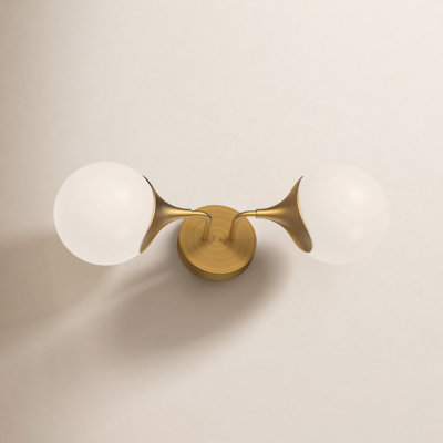 Nedra 2 Light Vanity Light