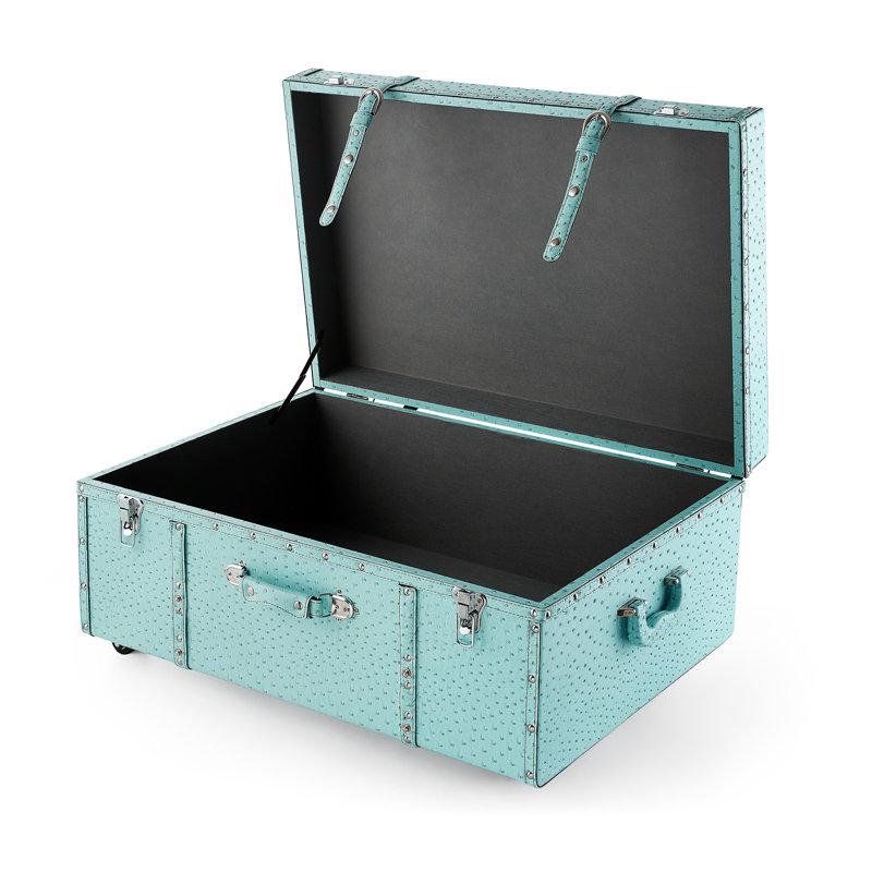Texture Brand Trunk - Vibrant Aqua Ostrich, Blue