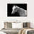Brampt Horse Headshot-107719611