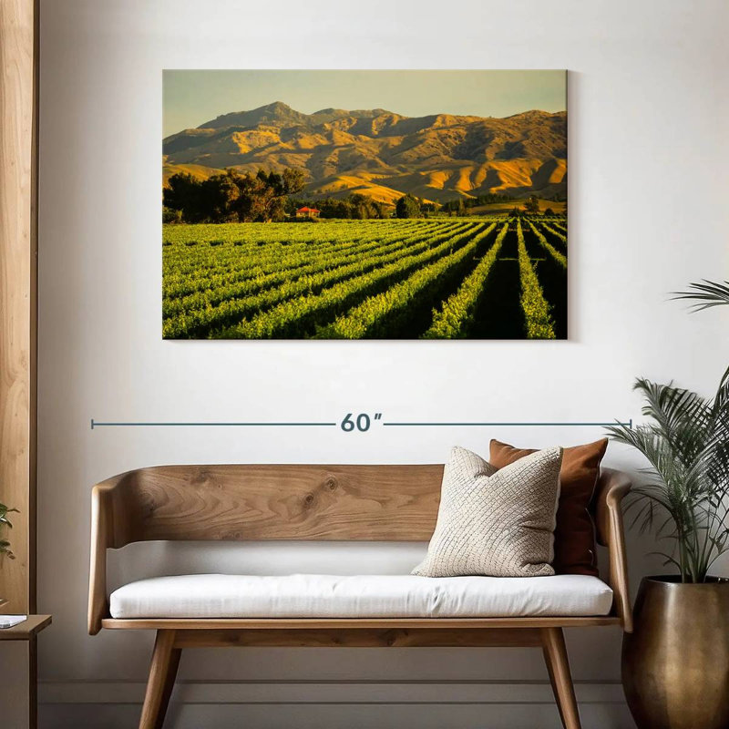 Alvord Blenheim Vineyard, H 30 po x l 45 po